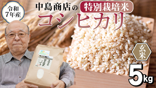 令和7年産 茨城県産 玄米 特別栽培米 コシヒカリ 5kg （5kg×1袋）