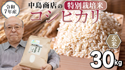 令和7年産 茨城県産 玄米 特別栽培米 コシヒカリ 30kg （30kg×1袋）の