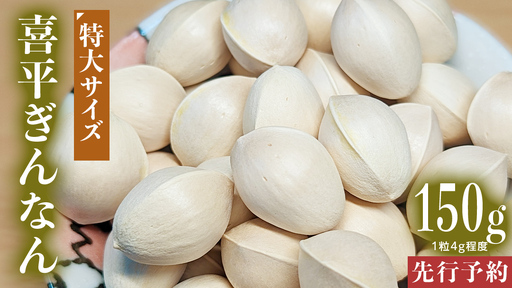 [先行予約] 喜平 ぎんなん 150g (1粒4.0g程度・特大サイズ) [2026年10月中旬より発送開始]