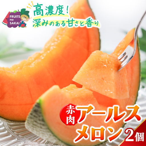 赤肉アールスメロン 2玉