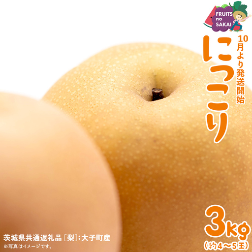 にっこり 梨 3kg （4～5玉）【2026年10月より発送開始】（茨城県共通返礼品 [梨]：大子町産）