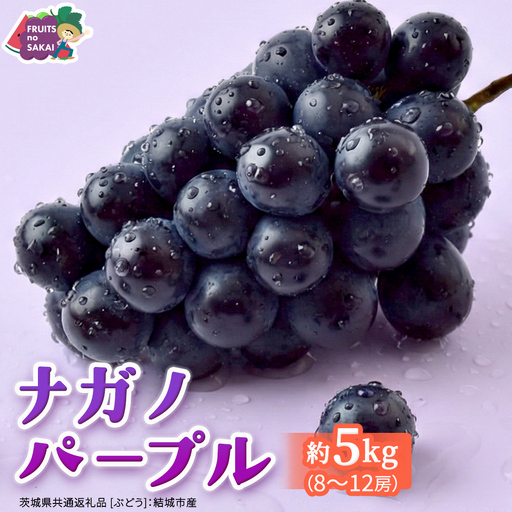 ナガノパープル 5kg (8〜12房)[2026年9月より発送開始](茨城県共通返礼品 [ぶどう]:結城市産)