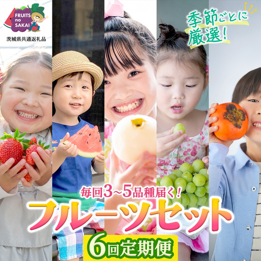 【定期便】フルーツセット（6回定期）（茨城県共通返礼品）