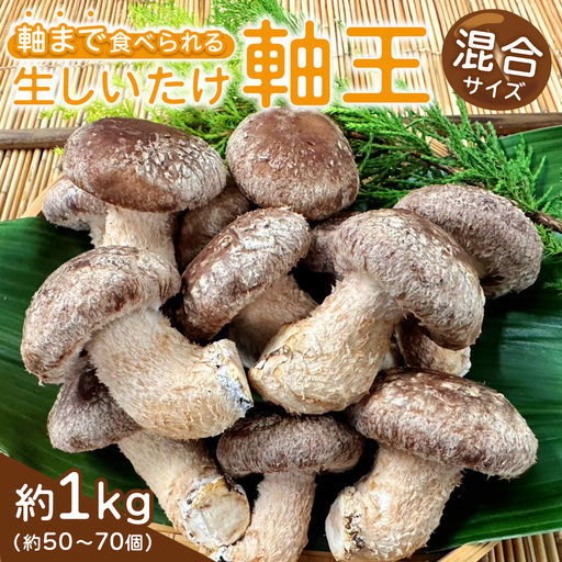 産地直送！軸まで美味しい『軸王しいたけ』サイズ混合 約1kg (約50～70個)