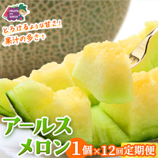 【定期便】 アールスメロン 1玉 × 12か月連続