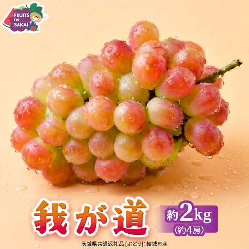 我が道 約2kg （約4房）【2026年8月より発送開始】（茨城県共通返礼品 [ぶどう]：結城市産）