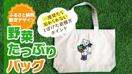 野菜たっぷりバッグ