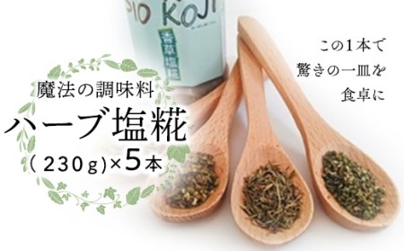 魔法の調味料 【 ハーブ塩糀 】× 5本 塩糀 塩麹 塩こうじ 麹 ハーブ 料理 調味料 発酵 農創