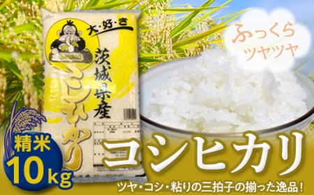 コシヒカリ10kg 検索結果 ふるさと納税サイト ふるなび