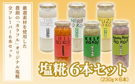 塩糀 6本セット 塩麹 塩こうじ 料理 発酵 調味料 農創