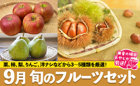 旬のフルーツセット 9月号【9月より発送開始】 田舎の頑固おやじが厳選！