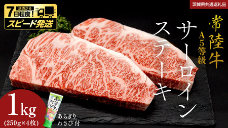 _ Xs[h^@y 헤 z A5  T[CXe[L 1kg (250g×4) 炬 킳 t (錧ʕԗi) Ђイ uh Xe[L T[C Y јa a Y