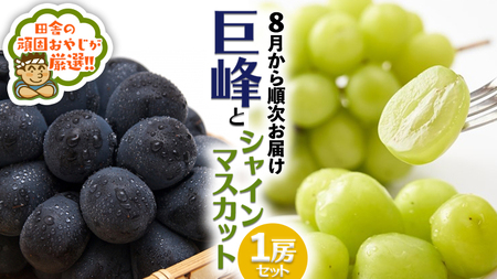 巨峰１房とシャインマスカット１房セット【令和6年8月より発送開始】田舎の頑固おやじが厳選！