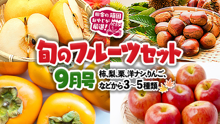 旬のフルーツセット 9月号 【9月より発送開始】 田舎の頑固おやじが厳選！