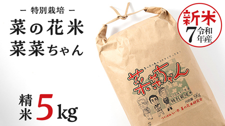 ߘa7NY RVqJ (  5kg ) ʍ͔| ؂̉ԕ u؍؂v    ͂   Y 錧Y V v[g V KvȂ ֗  Օi l炵