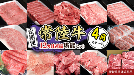 yցzyߘa8N4X^[gzyS12zw헤xlC12\Zbgi12Ał͂j  (錧ʕԗi)