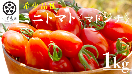 ~jg}gi}hij1kg y2026N110Jnz ~jg}g }hi Ƃ܂ Rs g}g 