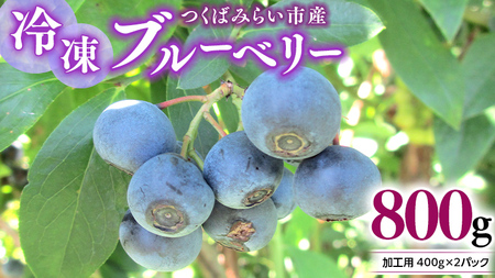 つくばみらい市 産 冷凍 ブルーベリー 800g ( 400g ×2パック ) 国産 農薬無使用 自家農場 果物 就労継続支援 フルーツ おいしい 冷凍ブルーベリー フリーズ