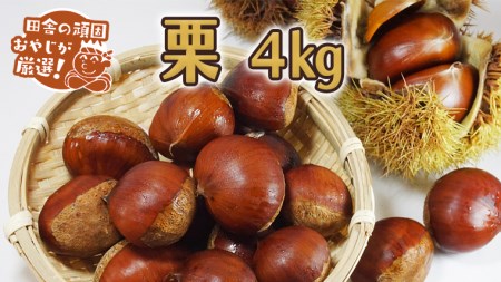 栗 4kg【9月より発送開始】田舎の頑固おやじが厳選！ 渋皮煮 栗ご飯 スイーツ