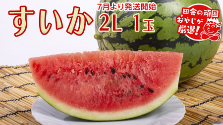 すいか 2L×1個[2025年7月より発送開始]田舎の頑固おやじが厳選! すいか スイカ ギフト 大玉 甘い フルーツ 美味しい