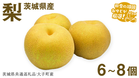 �� 6?8�y2026�N12����蔭���J�n�z�i��錧���ʕԗ�i [��]�F��q���Y�j�c�ɂ̊�ł��₶�����I�I