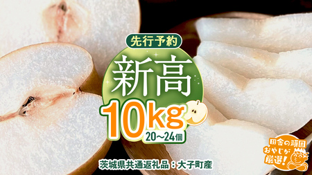  V 10kgi20`26jy2025N10蔭Jnzi錧ʕԗi []FqYjcɂ̊ł₶II Ȃ V a t[c ʕ  x Mtg 