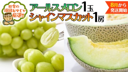 VC}XJbg 1[ A[X 1y8Jnzcɂ̊ł₶II