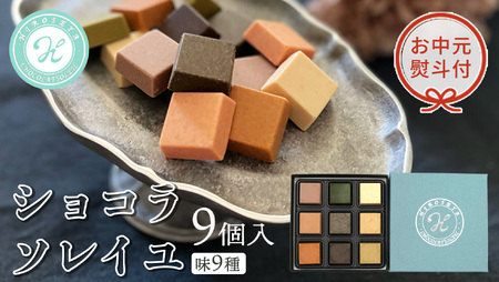 [ お中元 熨斗付 ] ショコラソレイユ 9種