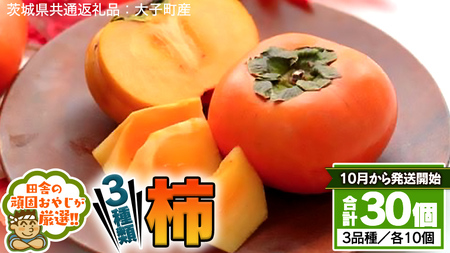 柿 3種 セット [10月から発送開始] (茨城県共通返礼品:大子町産) 田舎の頑固おやじが厳選! フルーツ 果物 美味しい