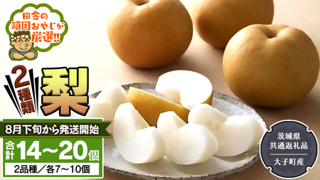 梨 2種 セット [2025年8月下旬より発送開始] (茨城県共通返礼品 [梨]:大子町産) 田舎の頑固おやじが厳選! フルーツ 果物 美味しい
