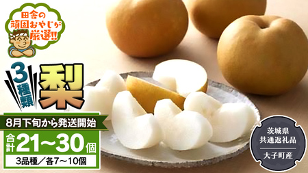 梨 3種 セット [2025年8月下旬より発送開始] (茨城県共通返礼品 [梨]:大子町産) 田舎の頑固おやじが厳選! なし 果物 フルーツ 美味しい