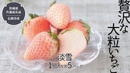 いちご 淡雪の返礼品 検索結果 | ふるさと納税サイト「ふるなび」