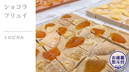 [お歳暮熨斗付]ショコラフリュイ トロピカル チョコレート チョコ スイーツ デザート 高級 ギフト 贈り物 お礼 プレゼント 手土産 お菓子
