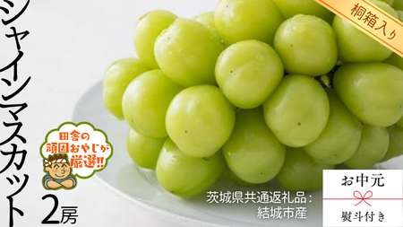 y  l t zy ˔ z VC}XJbg2[ y2026N8蔭Jnzi錧ʕԗi [Ԃǂ]FsYj