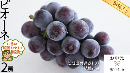 y  l t zy ˔ z sI[l2[ y2026N8蔭Jnzi錧ʕԗi [Ԃǂ]FsYj