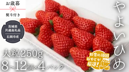 【 お歳暮 熨斗付 】やよいひめ〈いちご〉大粒 250g（8～12粒）×4パック【令和6年12月から発送開始】（県内共通返礼品：石岡市産） いちご 苺 イチゴ やよいひめ