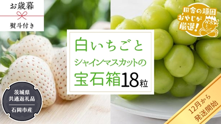 [ お歳暮 熨斗付 ] シャインマスカットと白いちごの 宝石箱 18粒[令和6年12月から発送開始](県内共通返礼品:石岡市産) いちご 苺 イチゴ 白いちご 白イチゴ シャインマスカット マスカット 宝石箱