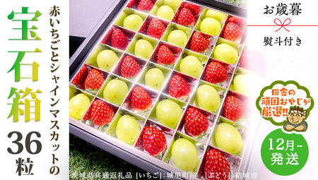 y Ε lt zԂƃVC}XJbg̕Δ 36y2025N12甭Jnzi錧ʕԗi []F闢Y@[Ԃǂ]Fsj