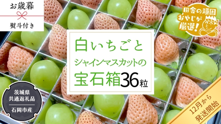 [ お歳暮 熨斗付 ]シャインマスカットと白いちごの宝石箱 36粒[令和6年12月から発送開始](県内共通返礼品:石岡市産) いちご 苺 イチゴ 白いちご 白イチゴ シャインマスカット マスカット 宝石箱