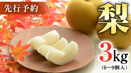 農園が選ぶ!おまかせ 梨 3kg [7月下旬発送開始] ナシ なし 果物 フルーツ デザート 秋 茨城県 はつまる 夏しずく 幸水 豊水 あきづき 恵水 甘太 にっこり