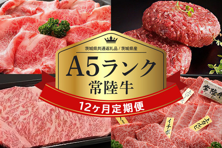 常陸牛 年間定期便 (茨城県共通返礼品 / 茨城県産) 1年 毎月 すき焼き すき焼 しゃぶしゃぶ ハンバーグ サーロインステーキ ローストビーフ 焼き肉セット 焼肉 ランプステーキ A5ランク 和牛 黒毛和牛 58-D