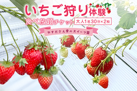 やすださん家のスイーツ園 いちご狩り体験[ペアチケット] 大人1名30分食べ放題チケット×2 19-G