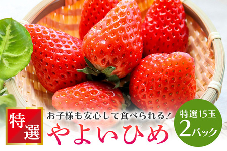 yʌEs\z悢Ђ I15 2pbN  C`S  t[c ʕ  Y 錧Y x Â 2026N1`3\聄 i錧ʕԗi Ήsj 71-C