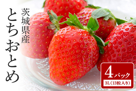 yʌEs\zƂƂ 3Li13j×4pbN 1kgȏ  C`S  t[c ʕ  Y 錧Y x Â 2026N1{`3{\聄 i錧ʕ