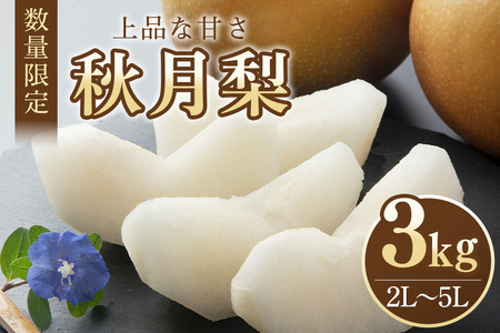 [数量限定・先行予約] 梨 秋月 3kg 2L〜5L 6〜9玉 なし ナシ あきづき アキヅキ 果物 フルーツ 国産 [9月10日〜10月末発送予定] 70-C