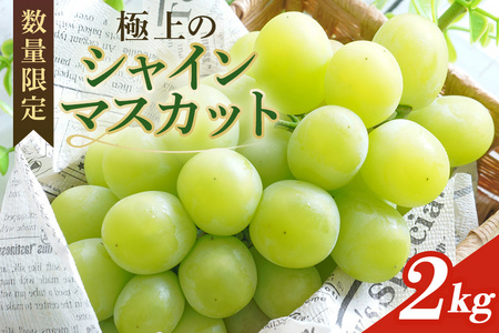 2025N s\ VC}XJbg ʌ 2kg _ Ԍ ʕ t[c uhE  Ԃǂ 8{ȍ~ ① ʎs 70-J
