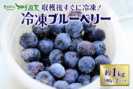 冷凍ブルーベリー 約1kg ブルーベリー 冷凍 フルーツ 果物 くだもの 冷凍フルーツ 冷凍果物 完熟 新鮮 目にいい 健康 美容 人気 ギフト 贈り物 プレゼント 茨城県産 55-C