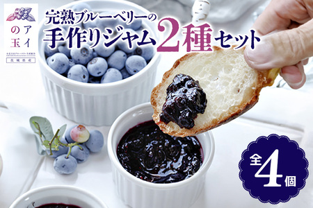 [アイの玉]完熟ブルーベリーの手作りジャム2種セット(全4個) ジャム ブルーベリー フルーツ 果物 くだもの 手作り グラニュー糖 黒糖 73-D