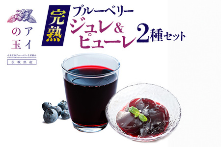 [アイの玉]完熟ブルーベリージュレ&ピューレ2種セット(4個)ジュレ ジャム グラニュー糖 ピューレ 無糖 ヘルシー ブルーベリー フルーツ 果物 くだもの 手作り 73-G