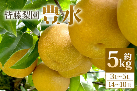 [数量限定・先行予約][皆藤梨園]豊水(約5kg/3L〜5L/14〜10玉) 梨 豊水 果物 なし ナシ ほうすい くだもの フルーツ [8月下旬以降発送予定] 75-B